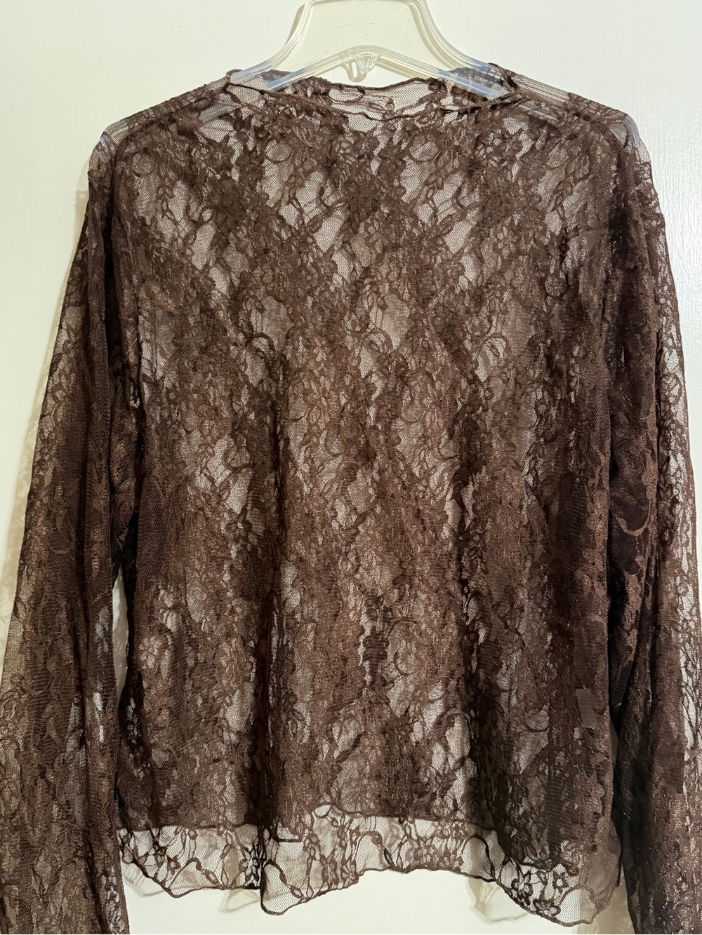 Brown Lace Mesh Top